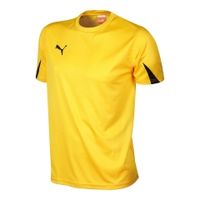 Футболка PUMA TEAM SHIRT