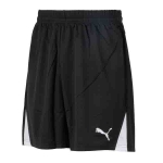 Шорты PUMA TEAM SHORTS