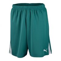 Шорты PUMA TEAM SHORTS Шорты PUMA TEAM SHORTS