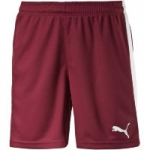 Шорты PUMA Pitch Shorts WithInnerbrief (SS15)