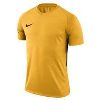 Футболка NIKE DRY TIEMPO PREM JSY SS (SP18) 894230-739 - вид 1 миниатюра