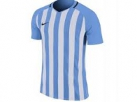 Футболка NIKE STRP DVSN III JSY SS (SP18) 894081-412 - вид 1 миниатюра