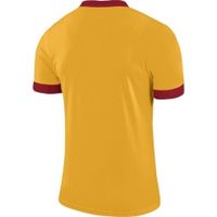 Футболка NIKE DRY PRK DRBY II JSY SS (SP18) 894312-739 - вид 1 миниатюра