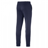 Штаны PUMA ESS Logo Pants FL cl (AW18) 85175306 - вид 1 миниатюра