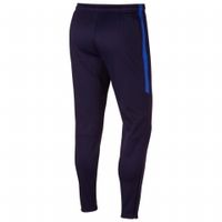 Штаны NIKE THERMA SQD PANT KPZ (HO18) AQ0350-416 - вид 1 миниатюра