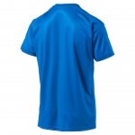 Футболка PUMA LIGA Jersey Core (SS18) 70350902 - вид 1 миниатюра
