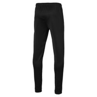 Штаны PUMA ftblPLAY Training Pant (SS19) 65593301 - вид 1 миниатюра