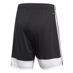 Шорты ADIDAS TASTIGO19 SHORT DP3246 - вид 1 миниатюра