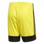 Шорты ADIDAS TASTIGO19 SHORT DP3249 - вид 1 миниатюра