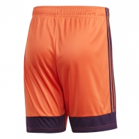 Шорты ADIDAS TASTIGO19 SHORT DP3253 - вид 1 миниатюра