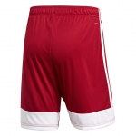 Шорты ADIDAS TASTIGO19 SHORT DP3681 - вид 1 миниатюра