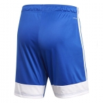 Шорты ADIDAS TASTIGO19 SHORT DP3682 - вид 1 миниатюра