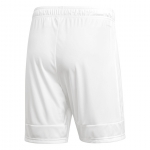 Шорты ADIDAS TASTIGO19 SHORT DW9146 - вид 1 миниатюра