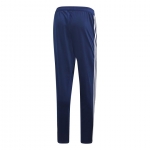 Штаны ADIDAS TIRO19 PES PNT DT5181 - вид 1 миниатюра