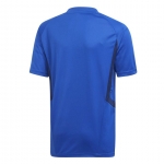 Футболка ADIDAS TIRO19 TR JSY DT5292 - вид 1 миниатюра