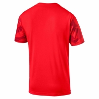 Футболка PUMA CUP Jersey Core (SS19) 70377501 - вид 1 миниатюра