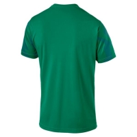 Футболка PUMA CUP Jersey Core (SS19) 70377505 - вид 1 миниатюра
