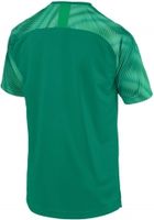 Футболка PUMA CUP Jersey (SS19) 70377305 - вид 1 миниатюра