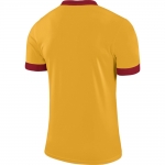 Футболка NIKE DRY PRK DRBY II JSY SS JR (SU19) 894116-739 - вид 1 миниатюра