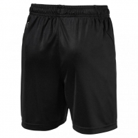 Детские шорты PUMA LIGA Shorts Core Jr 70343703 - вид 1 миниатюра