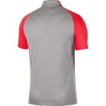 Футболка NIKE TROPHY IV JSY SS (SP20) BV6725-053 - вид 1 миниатюра