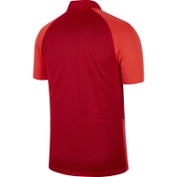 Футболка NIKE TROPHY IV JSY SS (SP20) BV6725-657 - вид 1 миниатюра