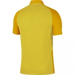 Футболка NIKE TROPHY IV JSY SS (SP20) BV6725-719 - вид 1 миниатюра