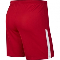 Шорты NIKE DRY LGE KNIT II SHORT NB (SP20) BV6852-657 - вид 1 миниатюра
