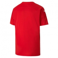 Футболка PUMA teamFINAL 21 Graphic Jersey (SS20) 70415001 - вид 1 миниатюра
