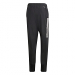 Штаны ADIDAS CON20 PRE PNT (SS20) EA2491 - вид 1 миниатюра