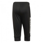 Штаны 3/4 ADIDAS CON20 3/4 PNT (SS20) EA2504 - вид 1 миниатюра