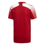 Футболка ADIDAS REGISTA 20 JSY (SS20) FI4551 - вид 1 миниатюра