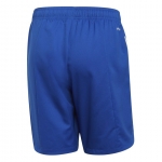 Шорты ADIDAS CONDIVO 20 SHO (SS20) FI4572 - вид 1 миниатюра