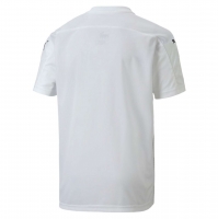 Футболка PUMA teamFINAL 21 Graphic Jersey (SS20) 70415004 - вид 1 миниатюра