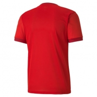 Футболка PUMA teamGOAL 23 Jersey (SS20) 70417101 - вид 1 миниатюра