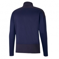 Свитер PUMA teamGOAL 23 Training 1/4 ZipTop (SS20) 65647606 - вид 1 миниатюра