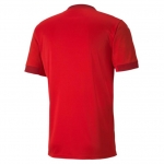 Футболка PUMA teamFINAL 21 Jersey (SS20) 70417001 - вид 1 миниатюра