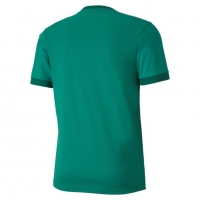 Футболка PUMA teamGOAL 23 Jersey (SS20) 70417105 - вид 1 миниатюра