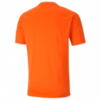 Футболка PUMA teamFINAL 21 Graphic Jersey (SS20) 70415024 - вид 1 миниатюра