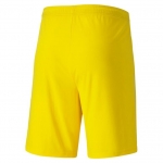 Шорты PUMA teamGOAL 23 knitShorts (SS20) 70426207 - вид 1 миниатюра