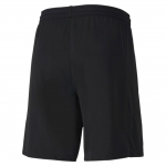 Шорты PUMA teamFINAL 21 knit Shorts (SS20) 70425703 - вид 1 миниатюра
