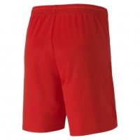 Шорты PUMA teamGOAL 23 knitShorts (SS20) 70426201 - вид 1 миниатюра
