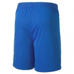 Шорты PUMA teamFINAL 21 knit Shorts (SS20) 70425702 - вид 1 миниатюра