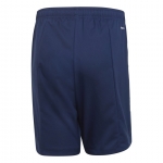Шорты ADIDAS CONDIVO 20 SHO (SS20) FI4573 - вид 1 миниатюра