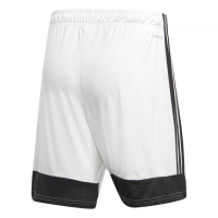 Шорты ADIDAS TASTIGO19 SHORT DP3247 - вид 1 миниатюра