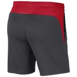 Шорты NIKE ACADEMY PRO SHORT KNIT (SP20) BV6924-062 - вид 1 миниатюра