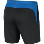Шорты NIKE ACADEMY PRO SHORT KNIT (SP20) BV6924-069 - вид 1 миниатюра