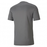 Футболка PUMA teamFINAL 21 Graphic Jersey (SS20) 70415013 - вид 1 миниатюра