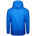 Влагозащитная куртка PUMA teamGOAL 23 Training Rain Jacket (SS20) 65655902 - вид 1 миниатюра