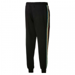 Штаны PUMA TFS WH Track Pants FT (AW20) 59762001 - вид 1 миниатюра